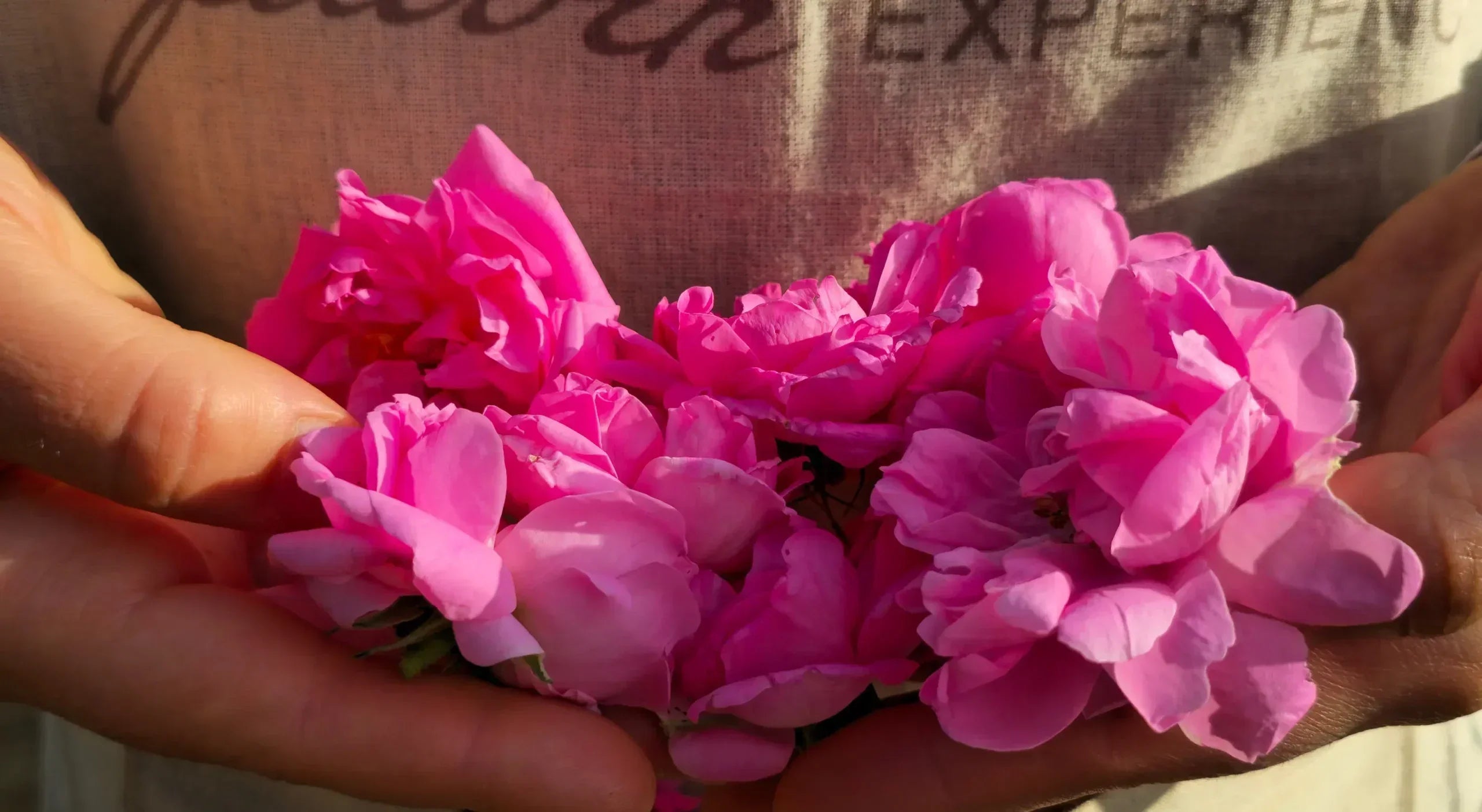 موسم الورد – صَنعه الجدّات بنَفَس الحفيدات