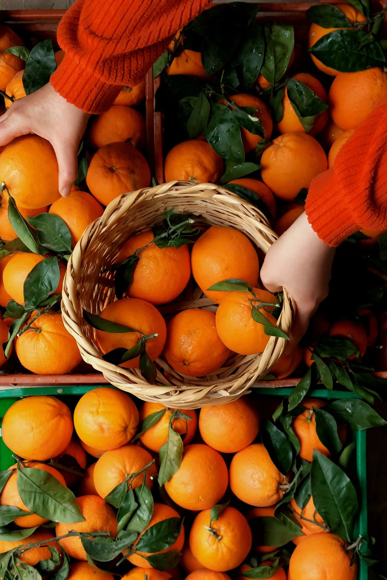 معجــون برتقــال ديــاري