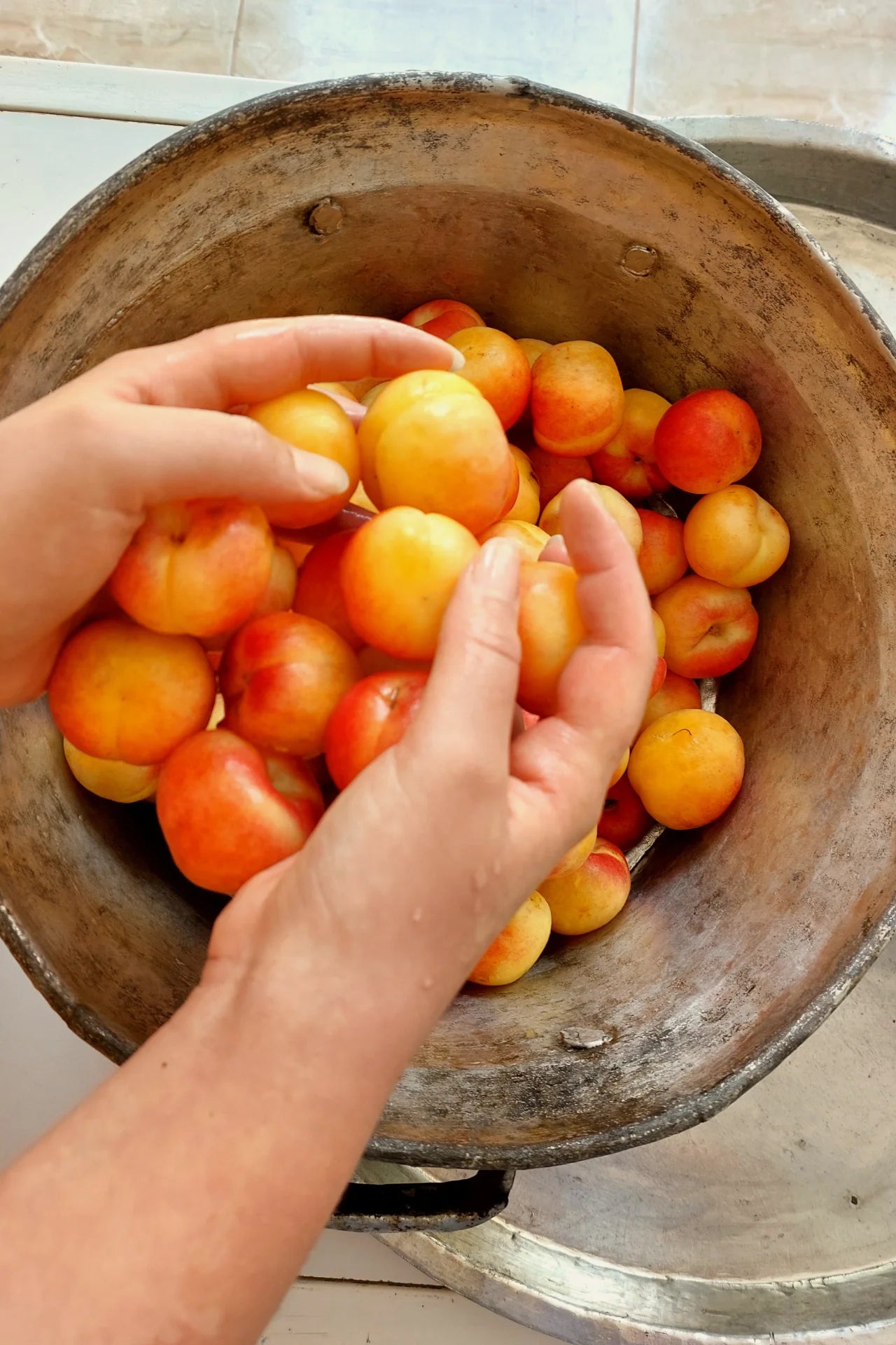 معجــون مشمــــاش ديــاري