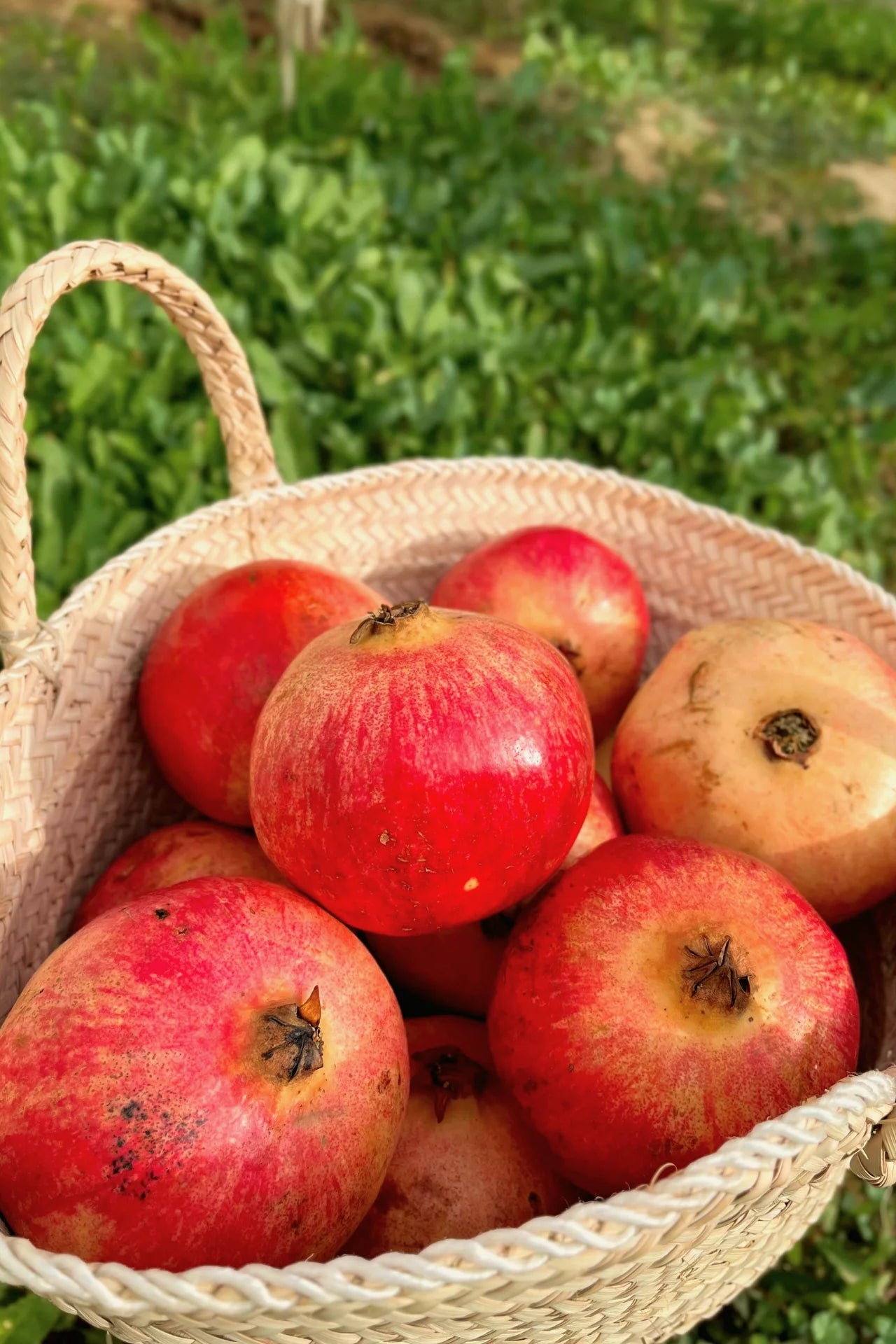 معجون رمان بالجلجلان واللوز