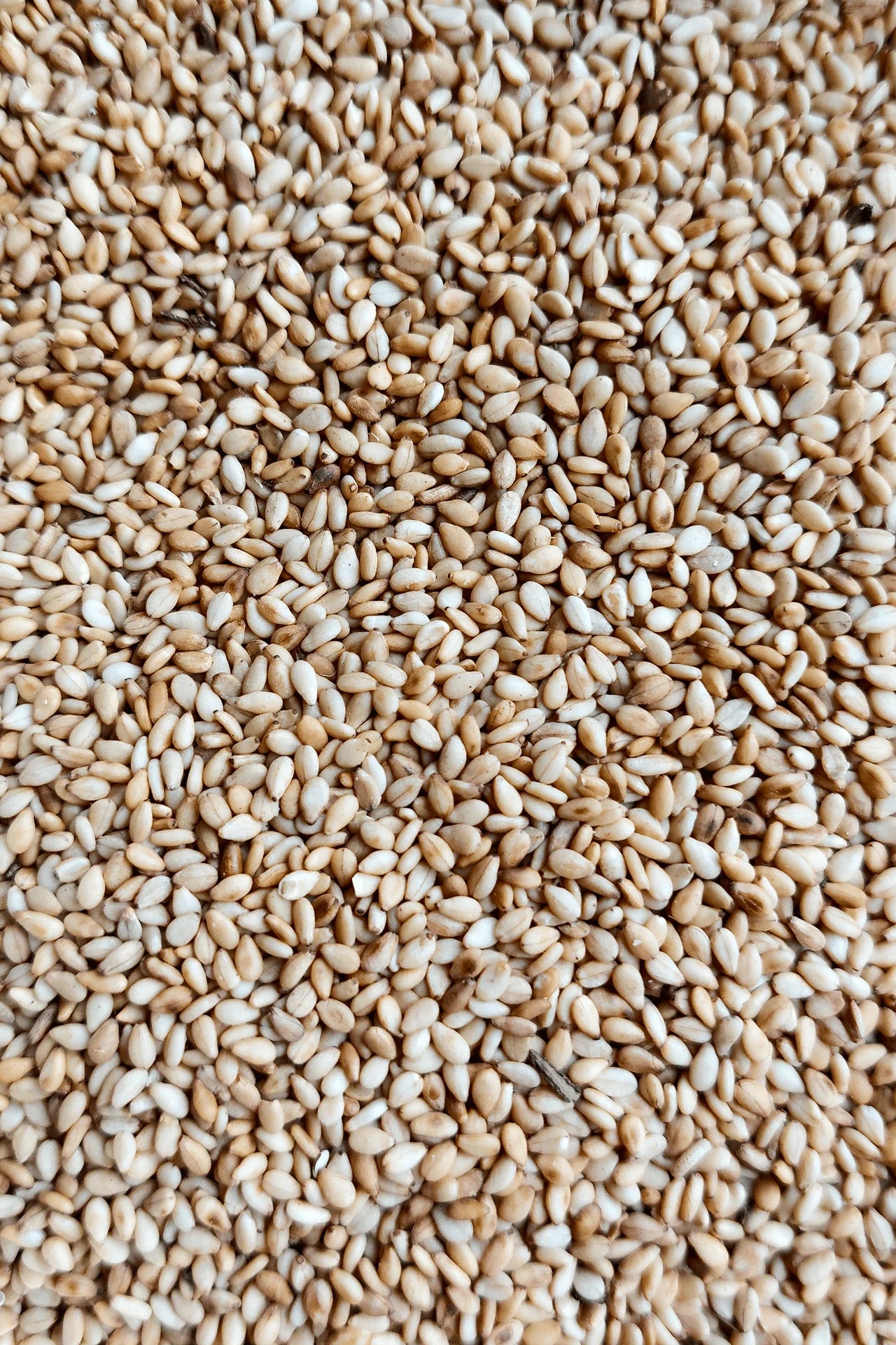 خلطة حبوب صحية