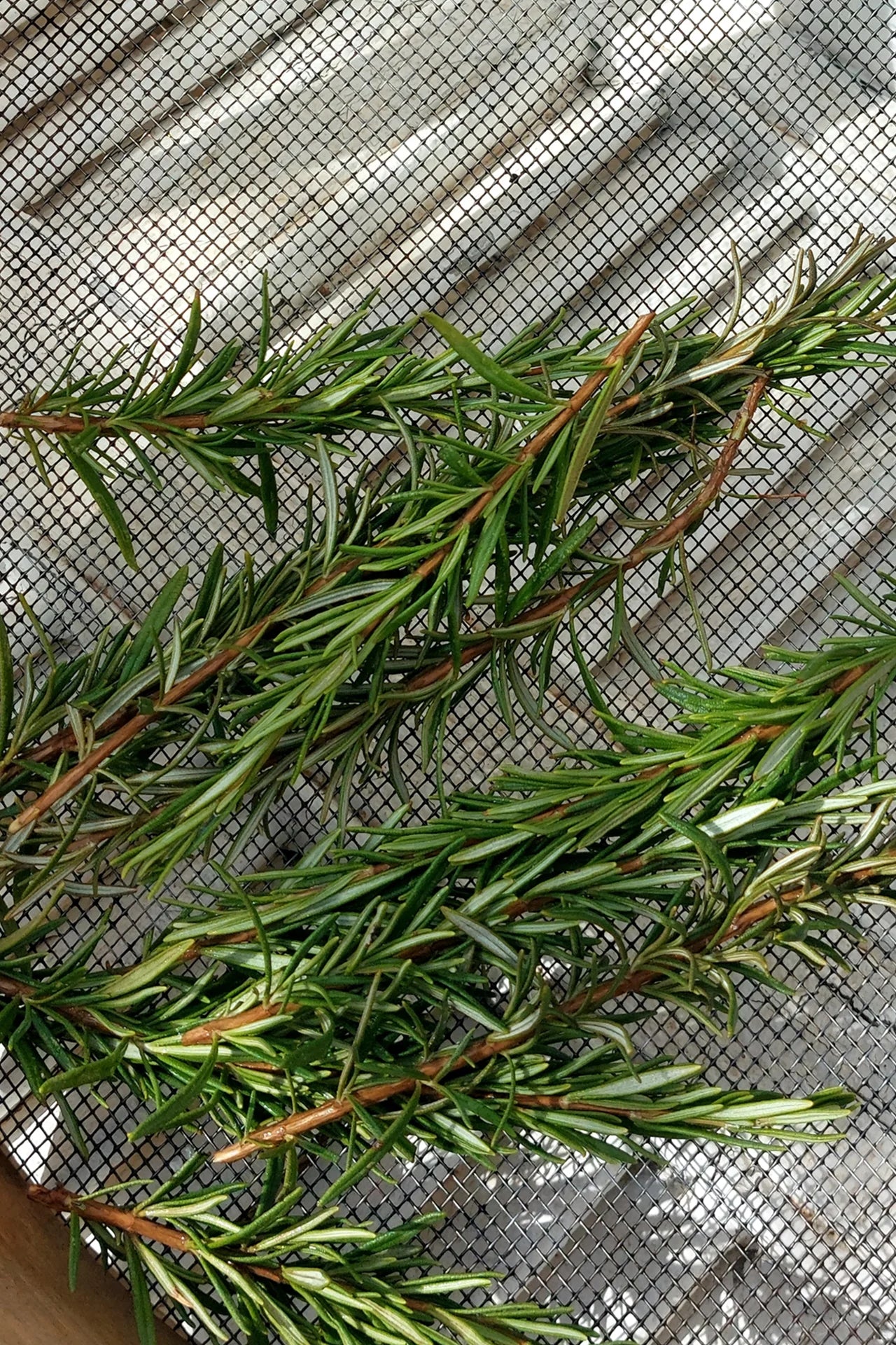 سمـــن حـــر