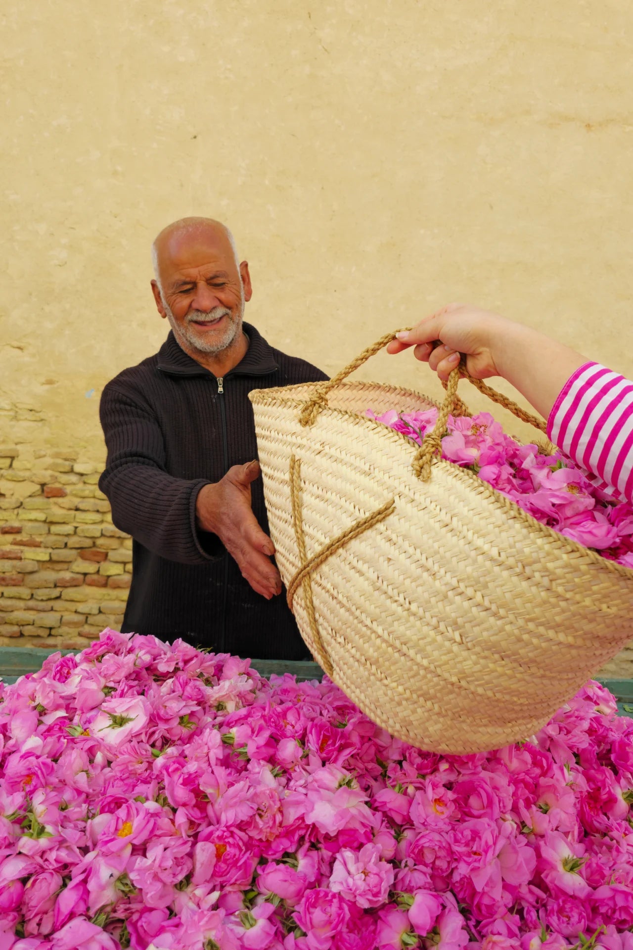 فاشكة ماء الورد – تقـطير زمنــي