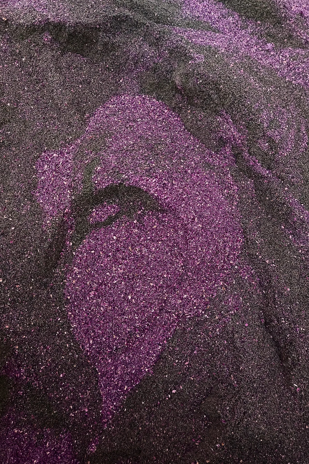 فلفل أكــحل بشــوش الــورد