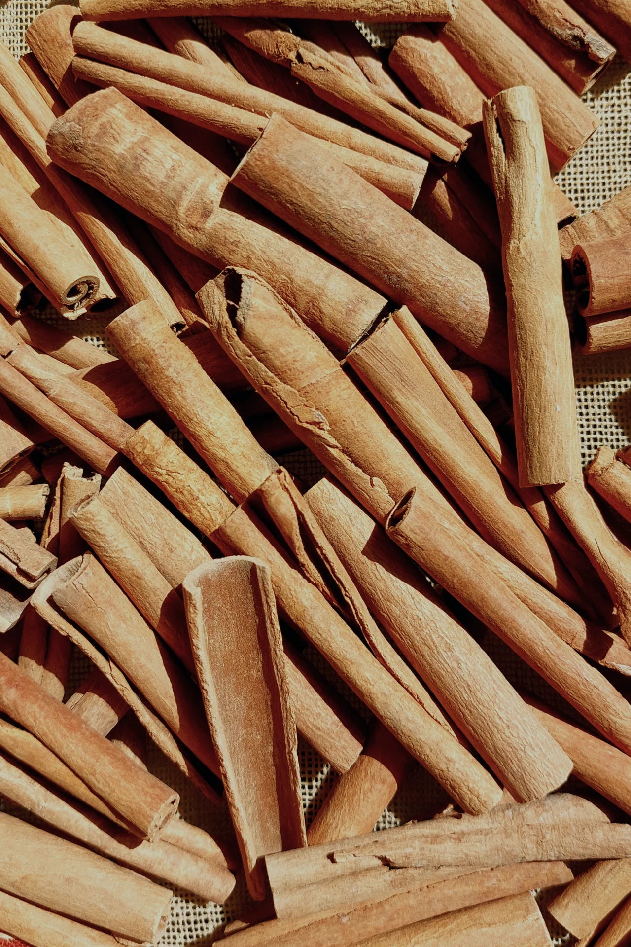 فلفل أكــحل بشــوش الــورد