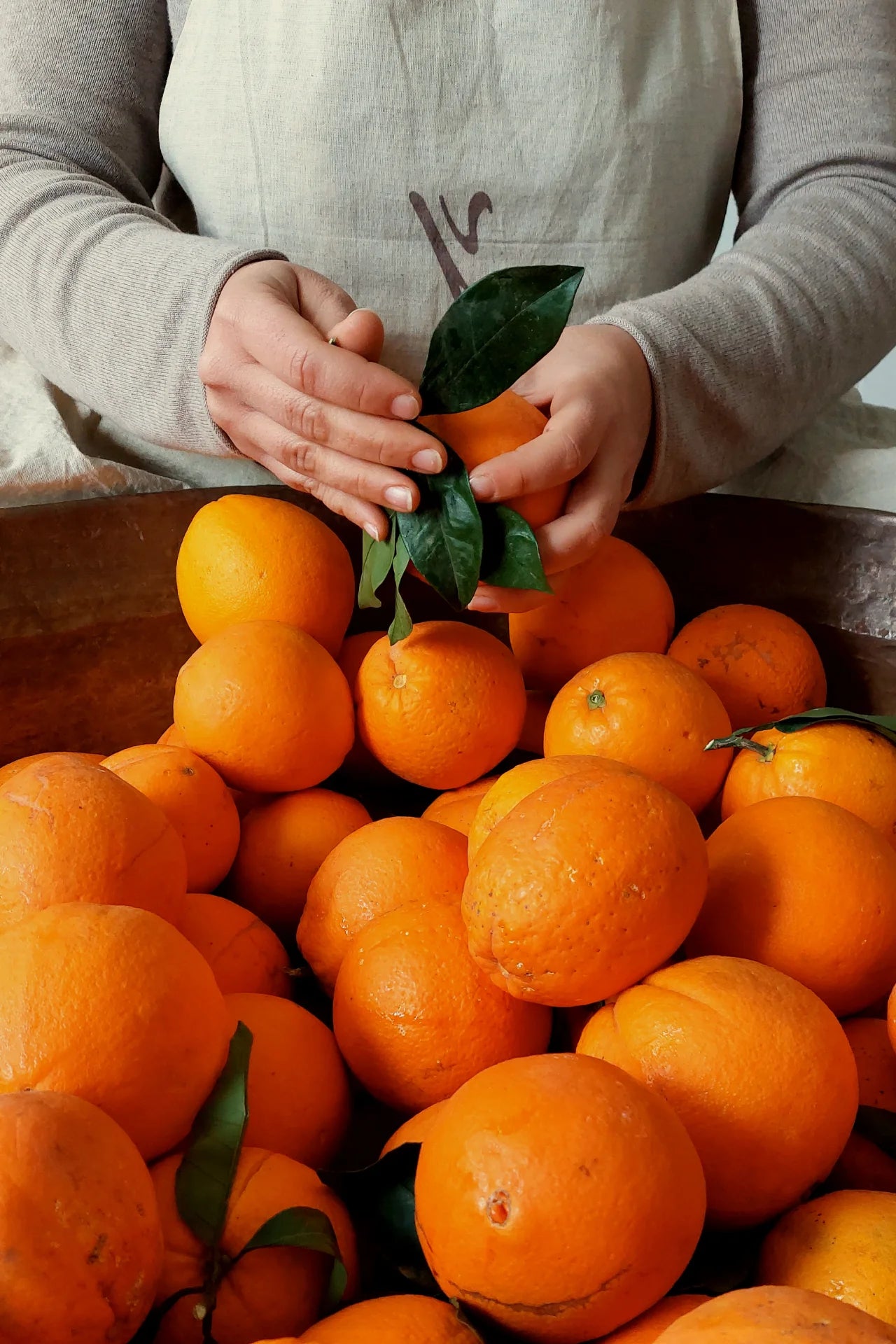 معجــون برتقــال ديــاري