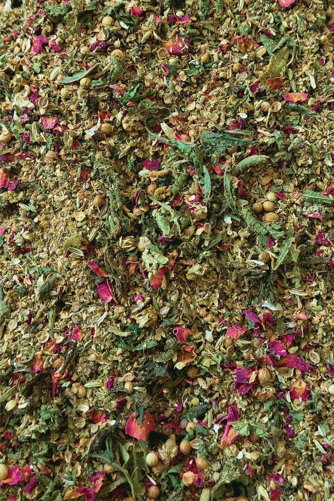 تــيزانــا بشوش الورد القيرواني