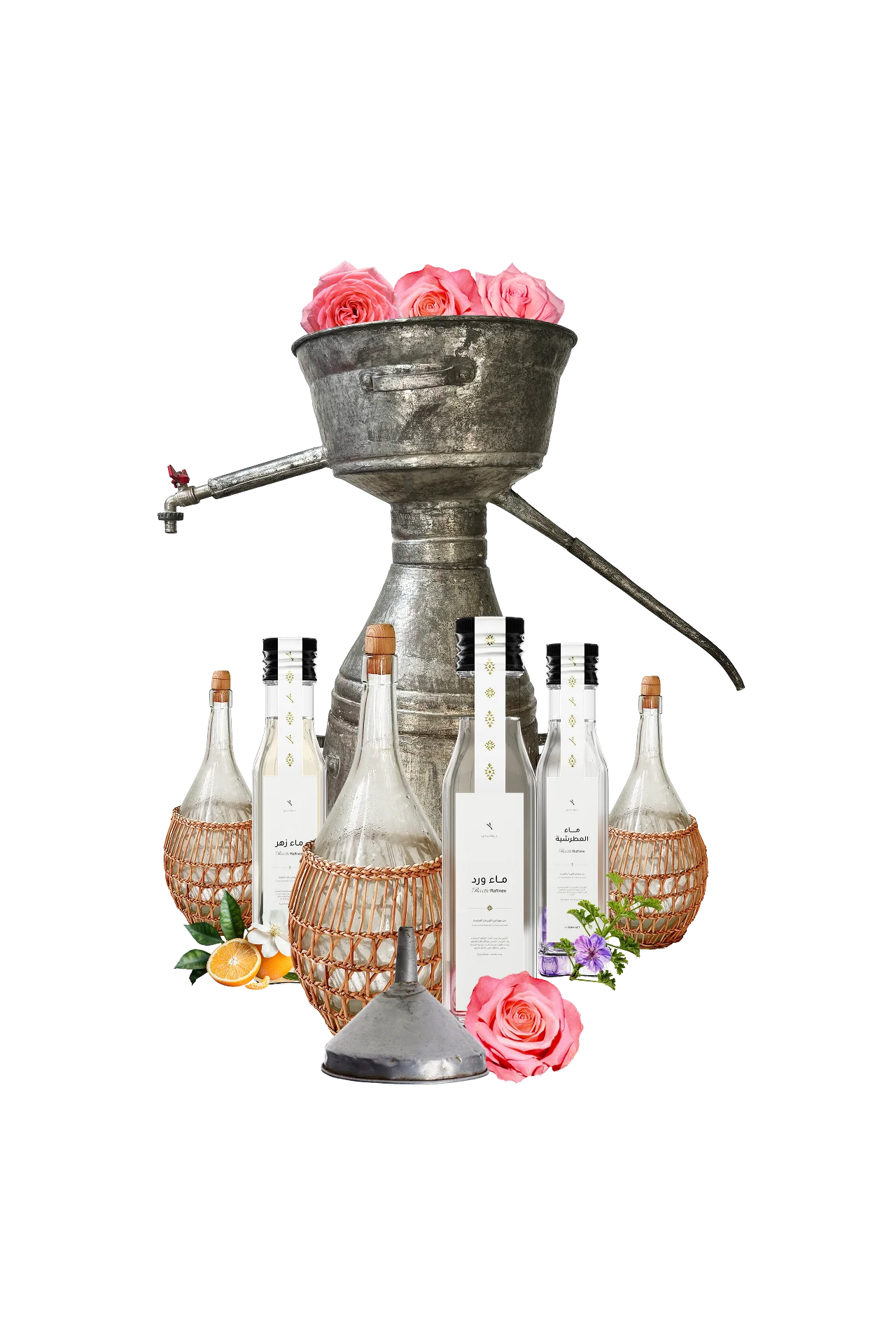 عولة قعـر الخابية – تقطـير زمنــي