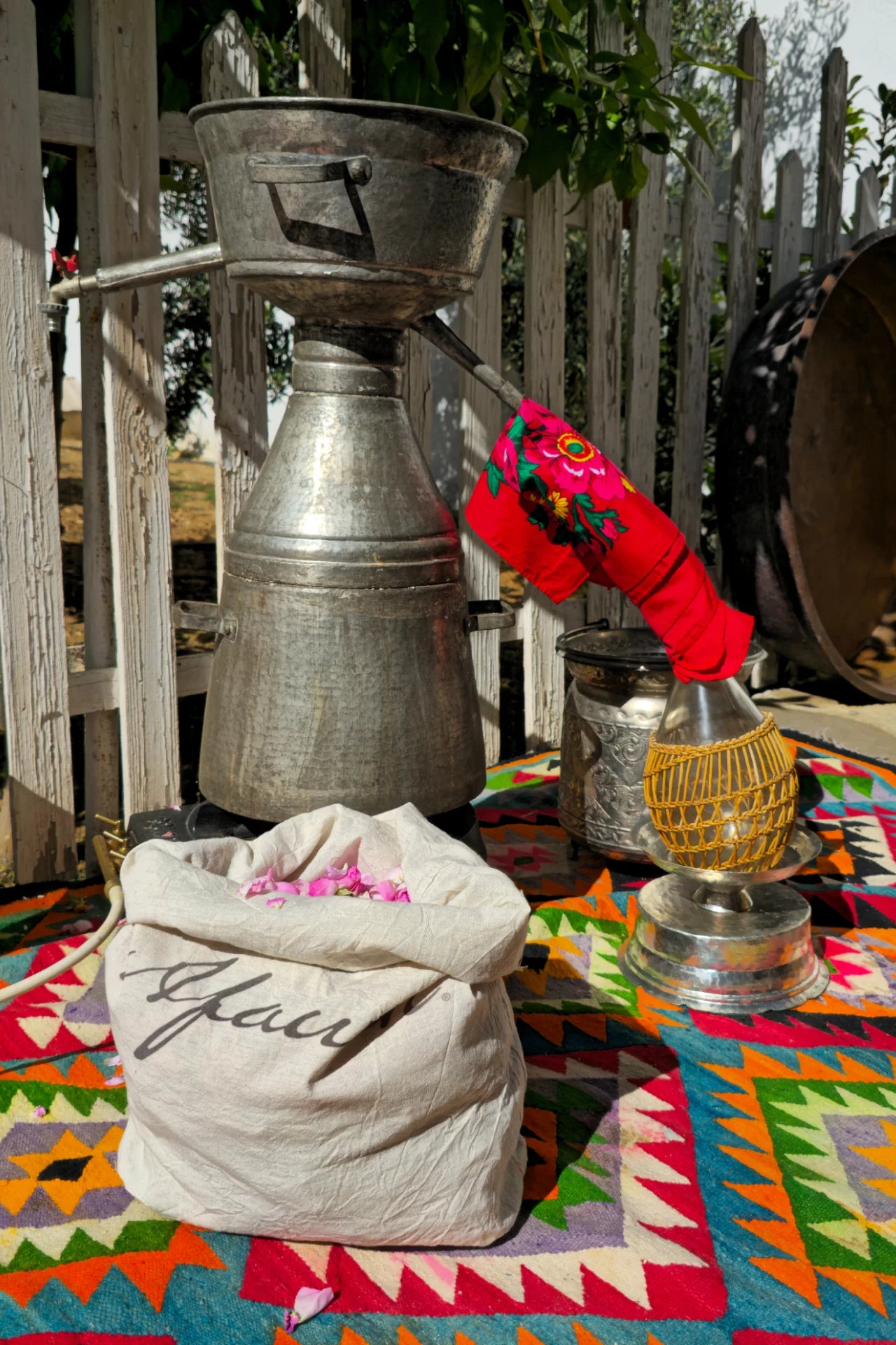 قــــفة النــــوار